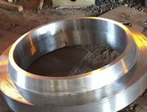 ASTM A182 F5 Forged Alloy Steel Flange