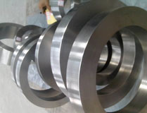 300 mm - 360 mm Nitronic 60 Forge Rings