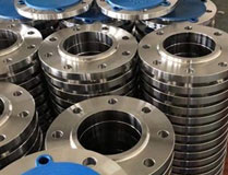 SS 310 Flange1