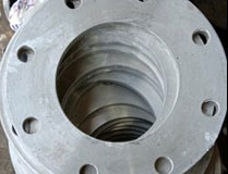 SS 310 Flange10