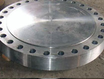 SS 310 Flange11
