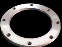 SS 310 Flange8