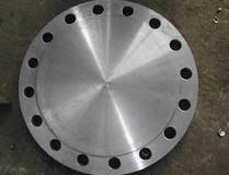 SS 310 Flange9
