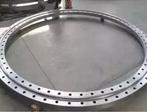 SS 321 Flange3