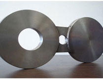 SS Flange4