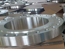 SS Flange6