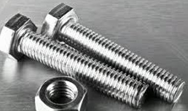 Stainless steel 310 Bolts