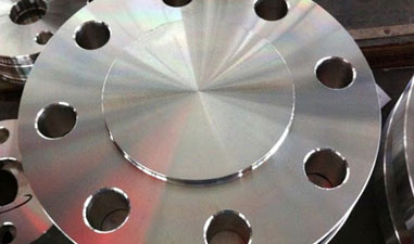 Stainless Steel F321 Forged Flange